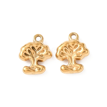 304 Stainless Steel Charms STAS-K303-08E-G-1