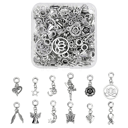 Tibetan Style Alloy Large Hole European Dangle Charms & Alloy European Dangle Charms PALLOY-PH0013-74-RS-1