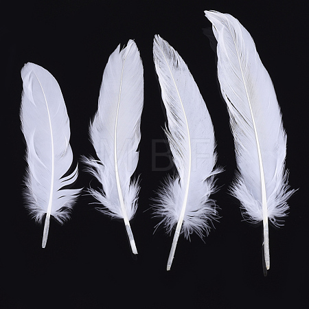 Goose Feather Costume Accessories FIND-T037-02L-1