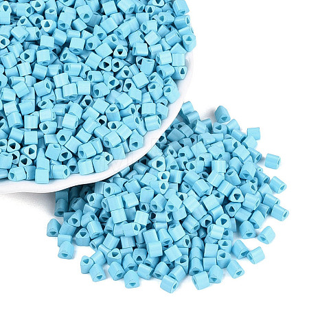 FGB Baking Paint Glass Seed Beads SEED-Q040-09A-14-1