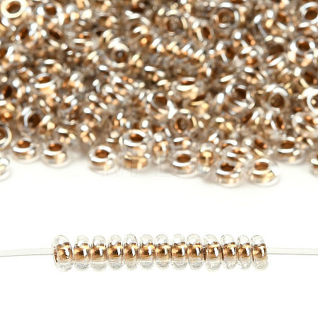 TOHO 6/0 Demi Round Beads SEED-DR06-0989-1
