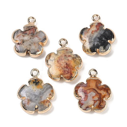 Natural Crazy Agate Pendants G-P566-01G-05-1