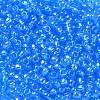 TOHO 6/0 Round Beads SEED-TR06-0163B-3