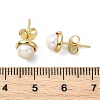Natural Cultured Freshwater Pearl Stud Earring EJEW-JE07127-5