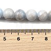 Natural Striped Stone Beads Strands G-D315-A01-01-8mm-5