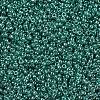 MIYUKI Round Rocailles Beads X-SEED-G007-RR0322-3
