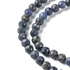 Natural Sapphire Beads Strands G-F748-M01-04-4