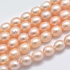 Natural Cultured Freshwater Pearl Beads Strands PEAR-K003-23C-01-1