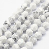 Natural Howlite Beads Strands G-F523-28-8mm-1