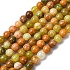 Natural Green Opal Beads Strands G-K245-A17-A02-2