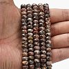 Natural Leopard Skin Jasper Beads Strands G-Z111-A23-2