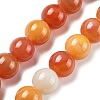Natural Multi-Color Agate Beads Strands G-A261-B08-14mm-2