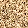 MIYUKI Delica Beads SEED-X0054-DB2501-2