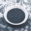 MIYUKI Round Rocailles Beads X-SEED-G007-RR1938-2
