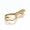 201 Stainless Steel Charms STAS-B001-22G-3