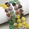 Gradient Color Natural Green Aventurine & Labradorite & Lemon Jade & Unakite & Petrified Wood Beads Strands G-B185-A07-2