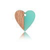 Resin & Wood Pendants LS-RESI-CJC0001-19C-4
