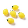 Opaque Resin Fruit Pendants RESI-H144-04-3