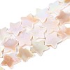 Natural Freshwater Shell Beads Strands SSHEL-N040-18-1