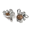 Natural Picture Jasper Pendants G-I374-A-P19-2