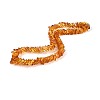 Natural Amber Square Graduated Beaded Necklaces NJEW-T019-03-3