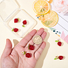 Handmade Lampwork & Acrylic & Resin Pearl Pendants PALLOY-BM00023-3