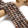 Natural Leopard Skin Jasper Beads Strands G-Z111-A23-1