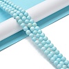 Natural Howlite Beads Strands G-E604-B02-A-2