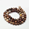 Natural Petrified Wood Round Bead Strands G-F266-08-6mm-2