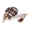 Electroplate Natural Spiral Shell Pendants SSHEL-Q100-44G-2