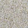 MIYUKI Round Rocailles Beads X-SEED-G009-RR0551-3
