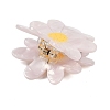 Cellulose Acetate(Resin) Claw Hair Clips PHAR-Z001-01-3