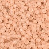 FGB Frosted Transparent Glass Seed Beads SEED-N013-02A-03-3