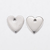 304 Stainless Steel Charms STAS-L200-77P-2