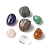 7Pcs Natural Labradorite & Amethyst & Rose Quartz & South Red Agate & Rhodonite & Green Aventurine & Quartz Crystal Tumbled Stone Sets DIY-FS0007-10B-3