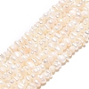 Natural Cultured Freshwater Pearl Beads Strand PEAR-N015-03B-01-2