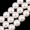 Electroplated Glass Pearl Graduated Beads Strands BSHE-C011-03B-2