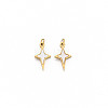 Ion Plating(IP) 304 Stainless Steel Charms X-STAS-N097-189-1
