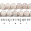 Natural Rainbow Moonstone Beads Strands G-N328-024-10mm-AB-6