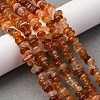 Dyed Natural Carnelian Chip Beads Strands G-E271-105-2