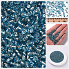 3000Pcs Glass Seed Beads SEED-PA0001-29A-03-5