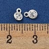 925 Sterling Silver Charms STER-C008-08A-S-3