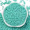 8/0 Baking Paint Glass Seed Beads X1-SEED-M012-02A-41-2