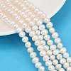 Natural Cultured Freshwater Pearl Beads Strands PEAR-I007-07Y-10A-1