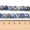 Natural Blue Spot Jasper Beads Strands G-C267-A20-5