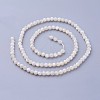 Shell Beads Strands LS-G-F619-27-3mm-2