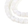 Natural Trochid Shell/Trochus Shell Beads Strands BSHE-T014-52A-01-3