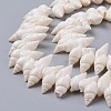 Natural Spiral Shell Beads Strands BSHE-I016-07-3