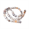 Natural Grey Botswana Agate Beads Strands G-C179-A50-03-3