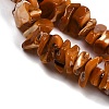 Natural Shell Beads Strands SHEL-K009-10-3